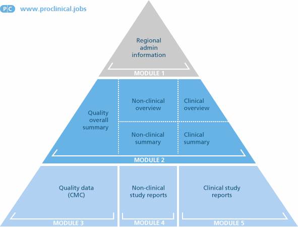 CTD modules in pharmaceutical regulatory affairs