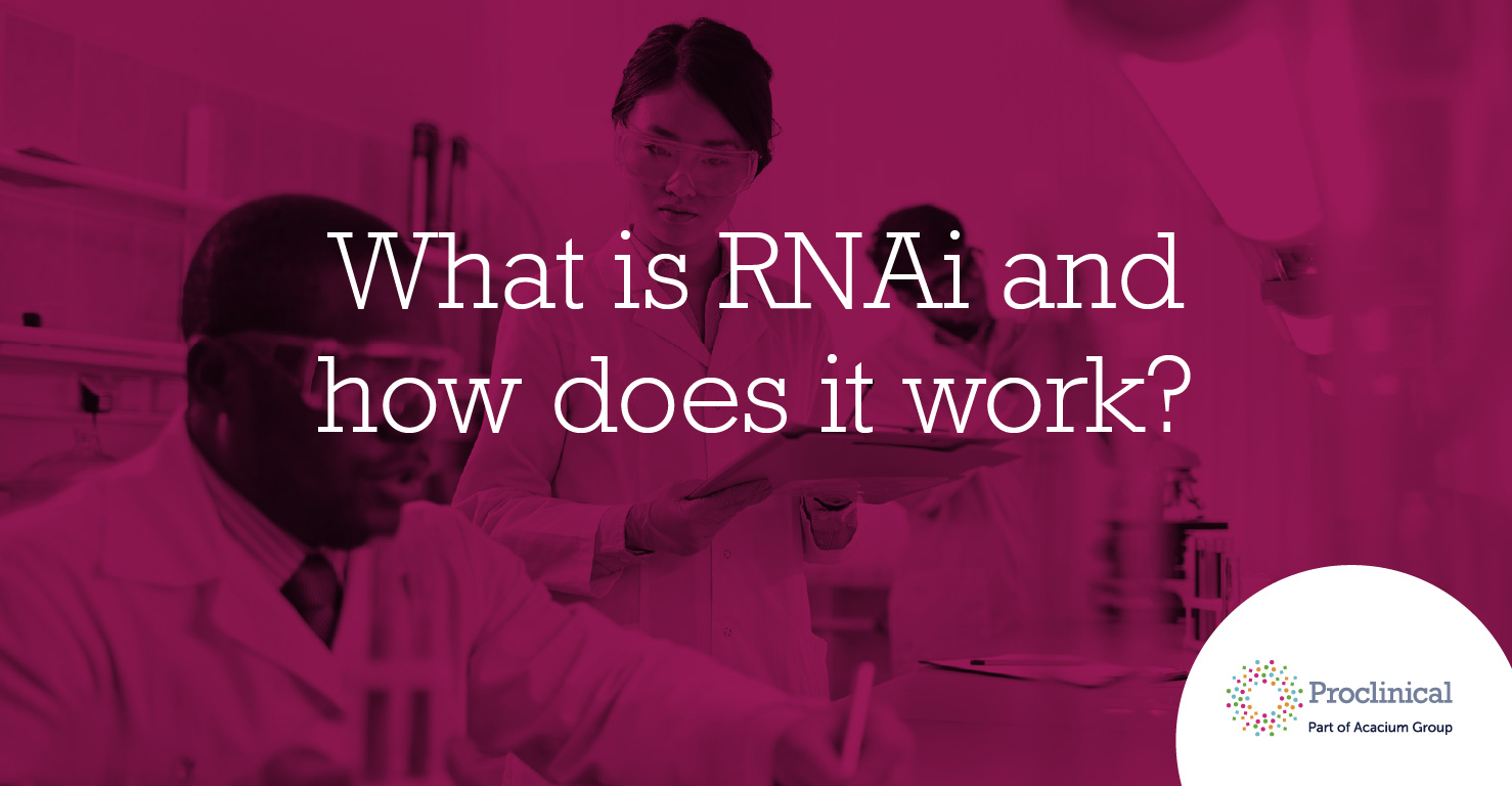 What is RNAi and how does it work