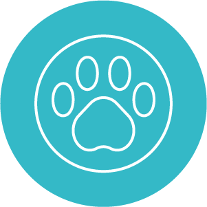 Animal Sciences