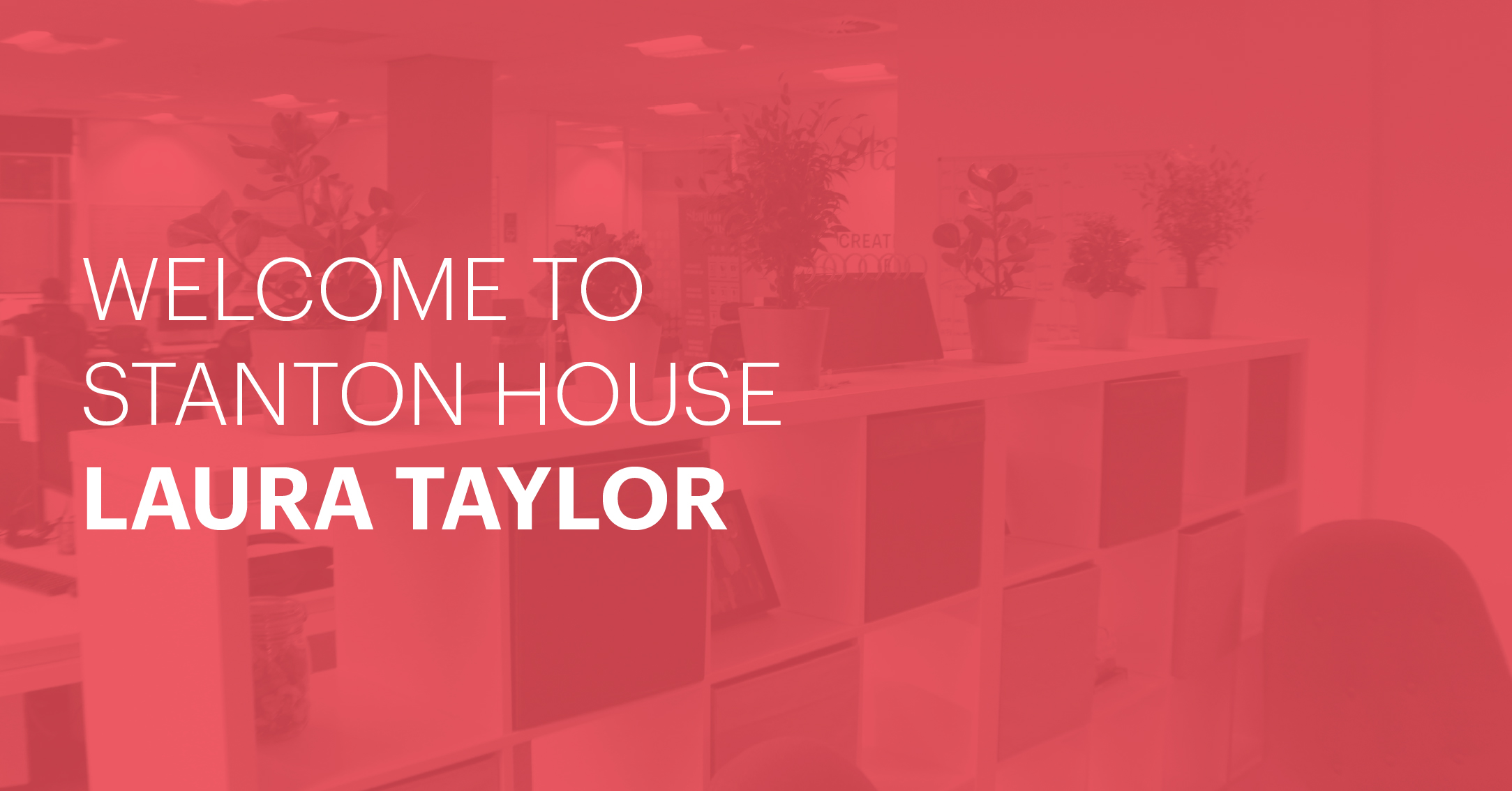 Welcome to Stanton House Laura Taylor