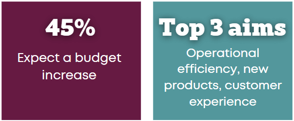 1.	Budget stat: Image highlighting ‘45% expect their budget to increase’ and ‘their top 3 aims are operational efficiency, new products and customer experience’.
