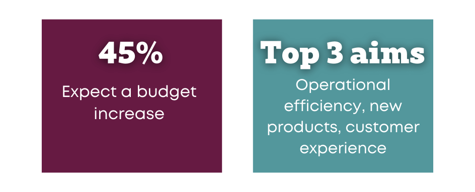 Image highlighting ‘45% expect their budget to increase’ and ‘their top 3 aims are operational efficiency, new products and customer experience’.