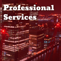 Professional Services 