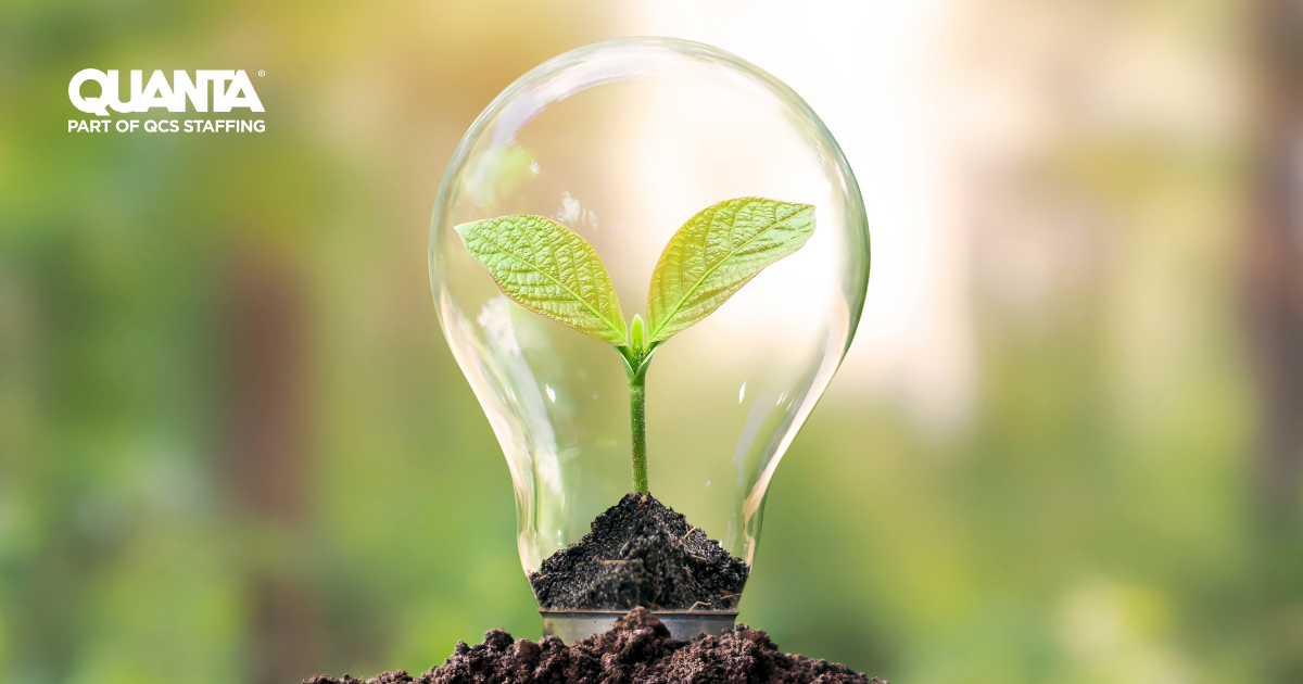 lightbulb planted into soil with a sapling growing within