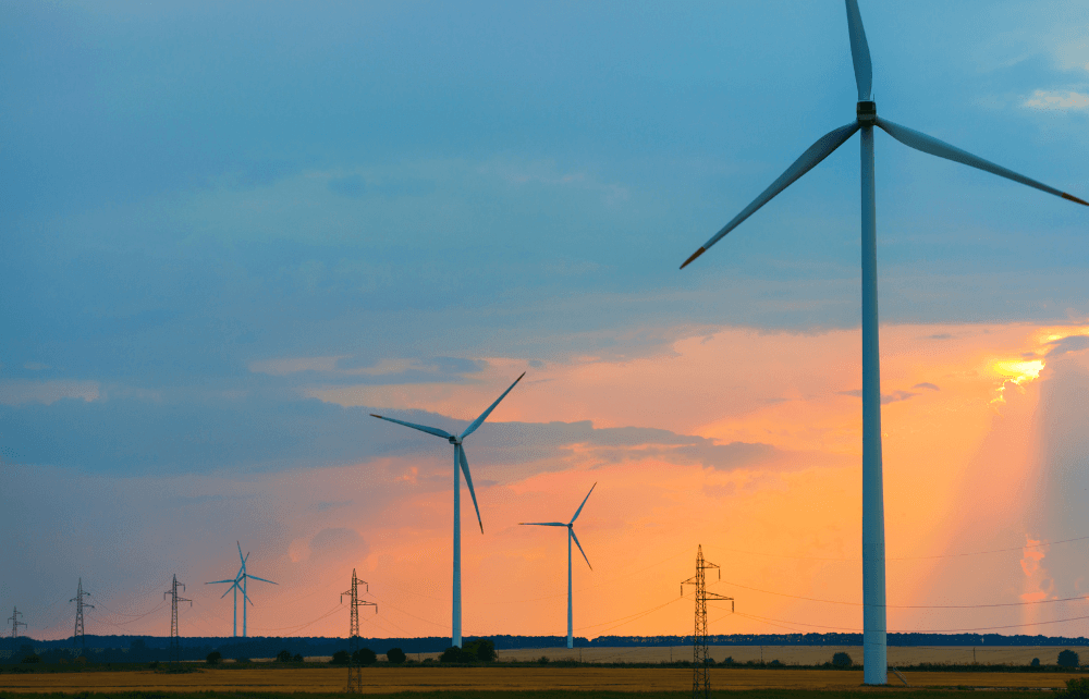 How to Become a Project Manager within Renewable Energy 