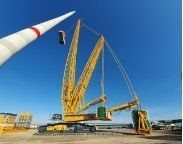 man on a work site overlooking a crane