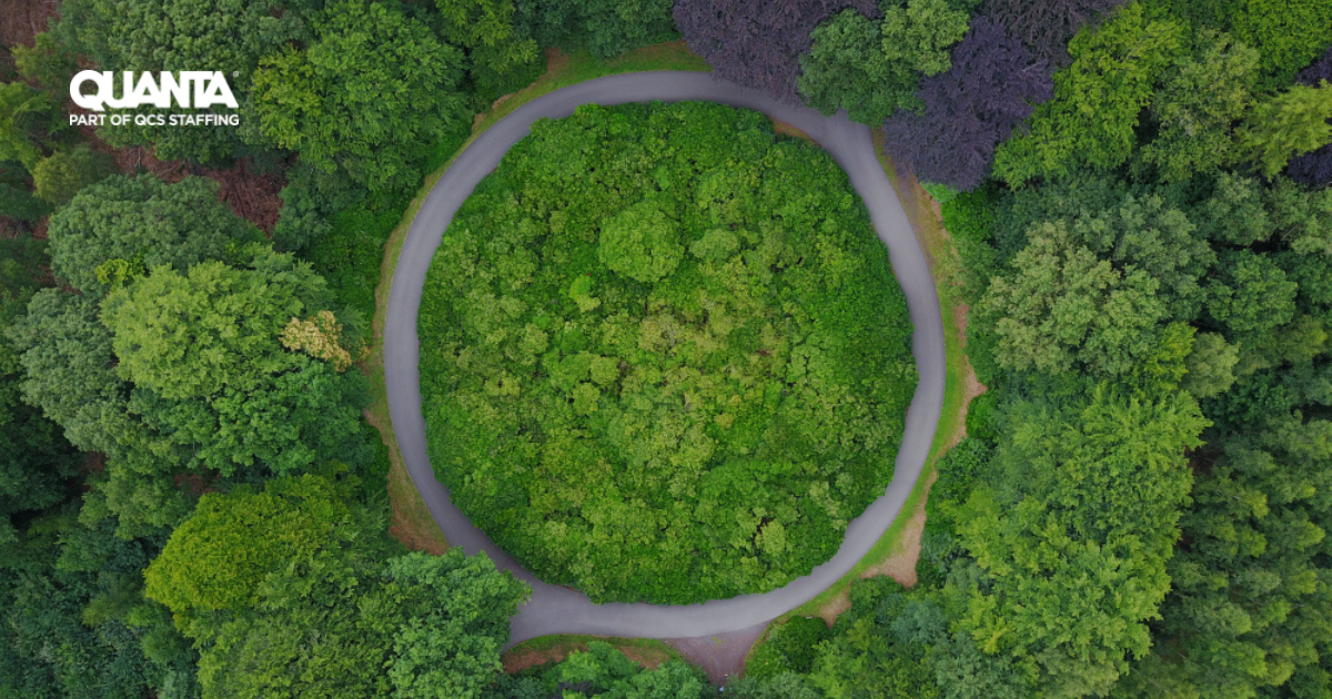 A circular path in the middle of a green forest