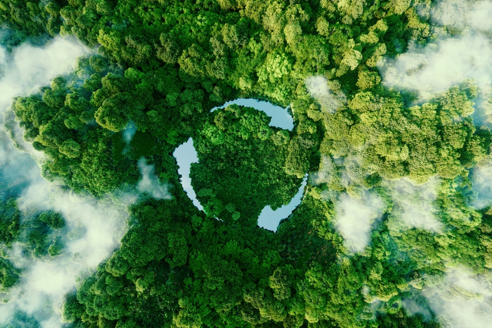 aerial view of trees with the recycling icon carved out