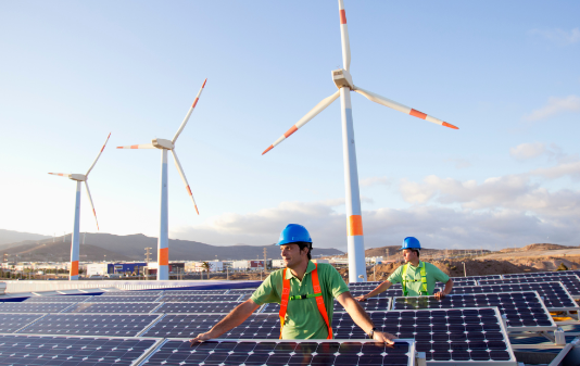 Renewable energy site with site managers