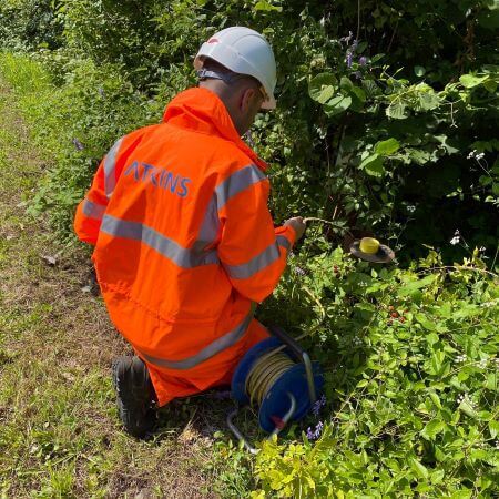 image of Josh looking into some bushes