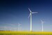 wind turbines in yellow field