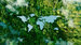 A lake in the shape of the world's continents in the middle of untouched nature. A metaphor for ecological travel, conservation, climate change, global warming, sustainability and the fragility of nature.
