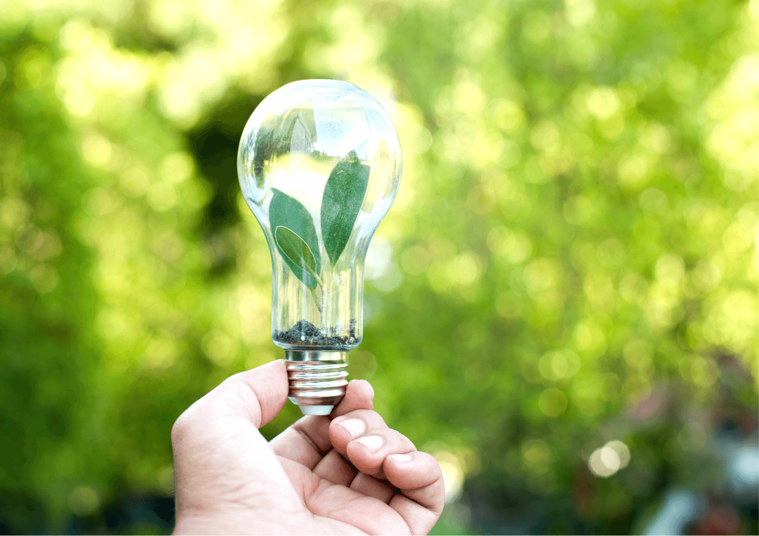 Saving Energy Lights
