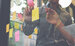 Professionals discussing the ideas for new strategy of development, pointing to sticky notes