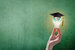image of a hand holding a lightbulb with a graduate cap