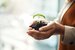 Hands holding soil with a plant sprouting from it.