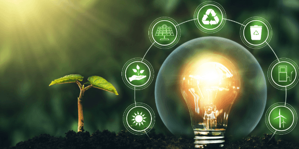 Renewables sector