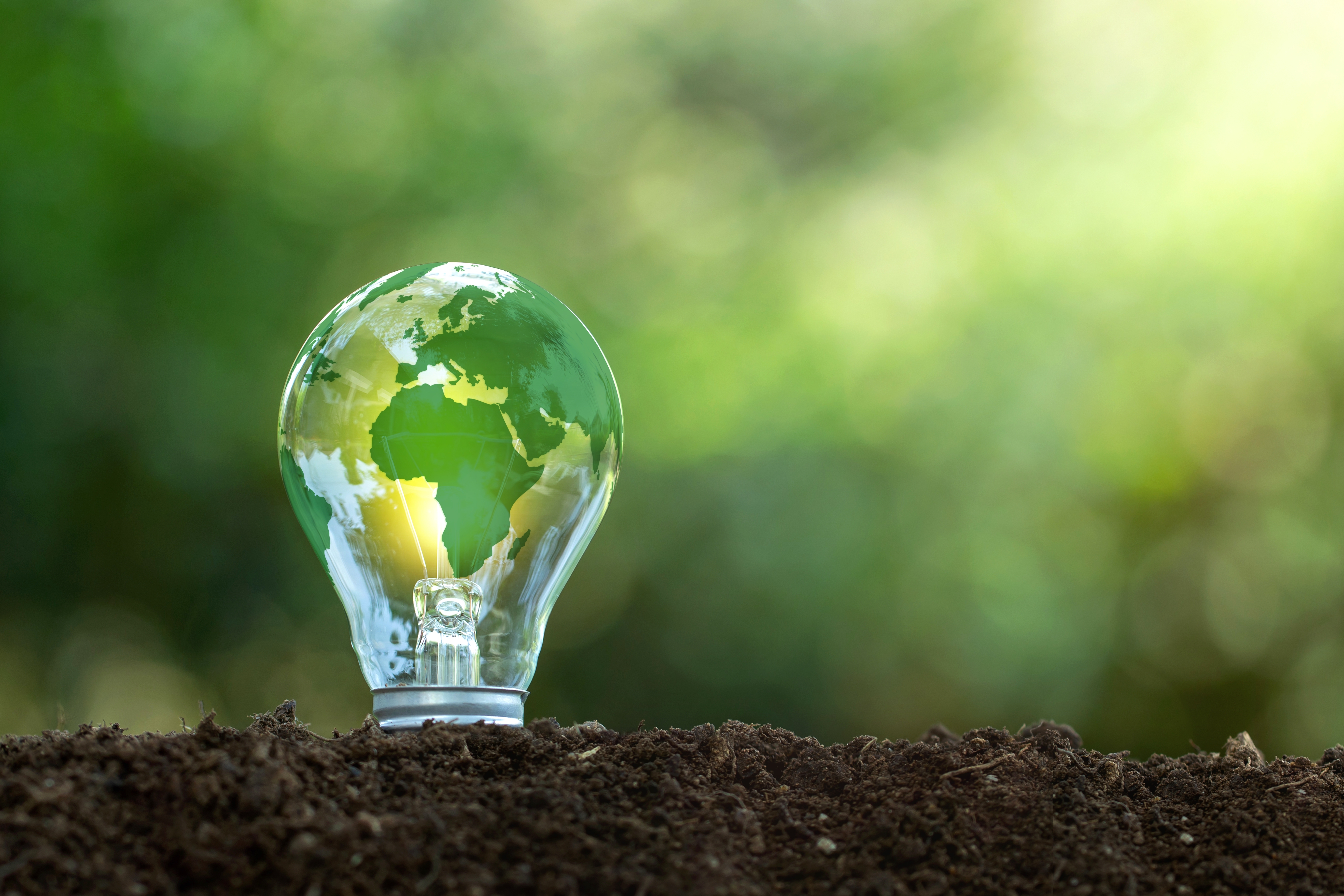 a light bulb sits upright in some soil with a green backdrop. The world map is on the light bulb, showcasing green technology.