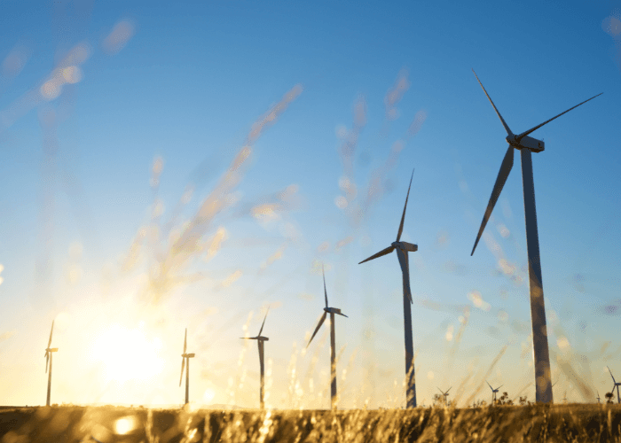 Wind turbines in a field at sunrise