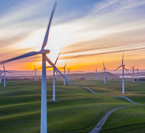 Wind turbines in a green field at sunset