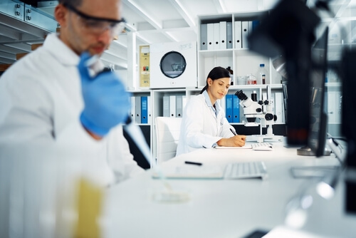 Chemical engineer working in a lab