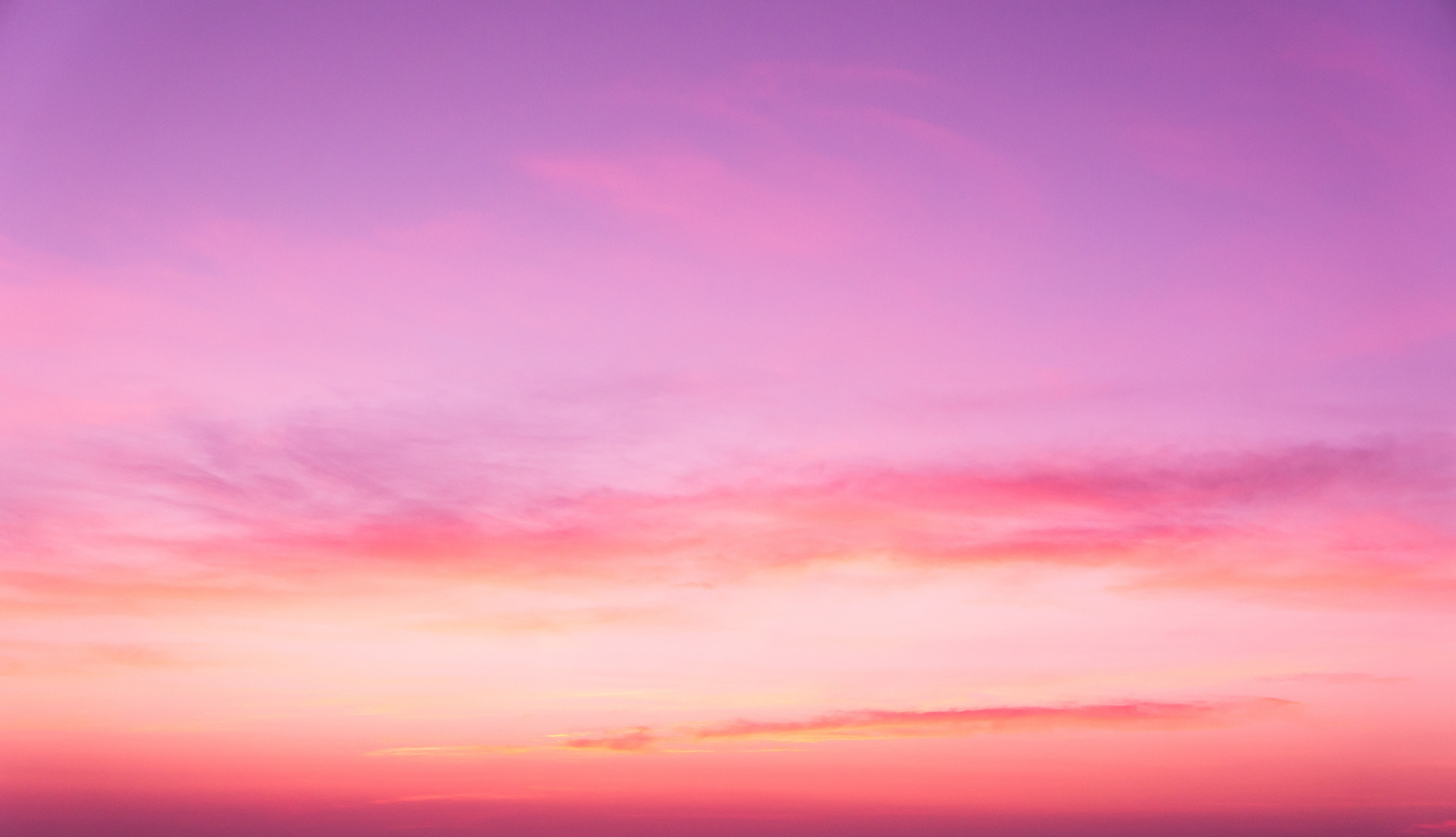 pink sunset