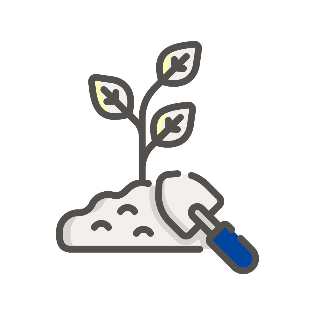 Corporate Social Responsibility