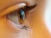 zoomed in side on view of a person's eye and eyelashes