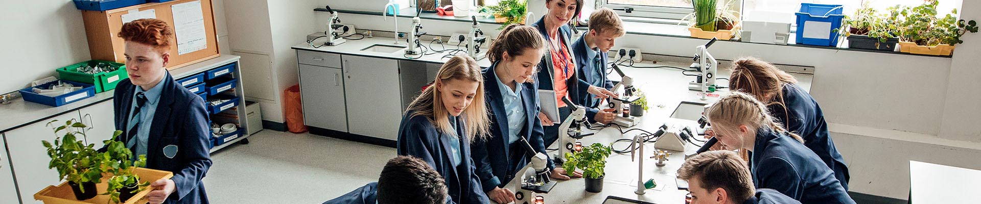 Tips, tricks and techniques for biology teachers