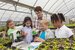 Top skills you need to keep an eye out for when hiring a teacher