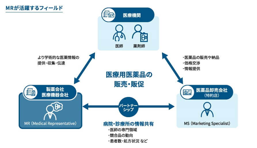 IQVIA | MRとMSの違いとは？