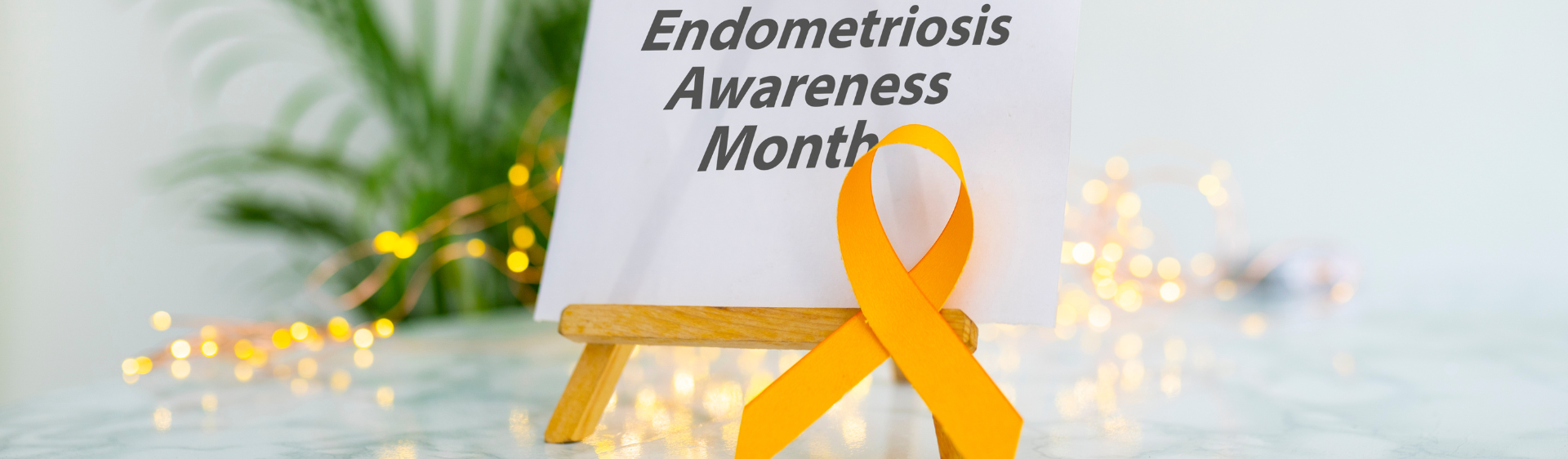 Endometriosis Awareness Month 