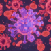 Blood cancer cells