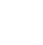 an icon image of a light bulb