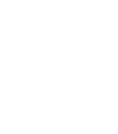 an icon image of documents with a tick mark representing interview
