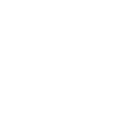 an icon image of two people networking 