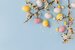 Colorful Easter chocolate eggs with cherry blossoms flat lay on blue background. 