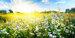 A beautiful, sun-drenched spring summer meadow. Natural colorful panoramic landscape with many wild flowers of daisies against blue sky. 