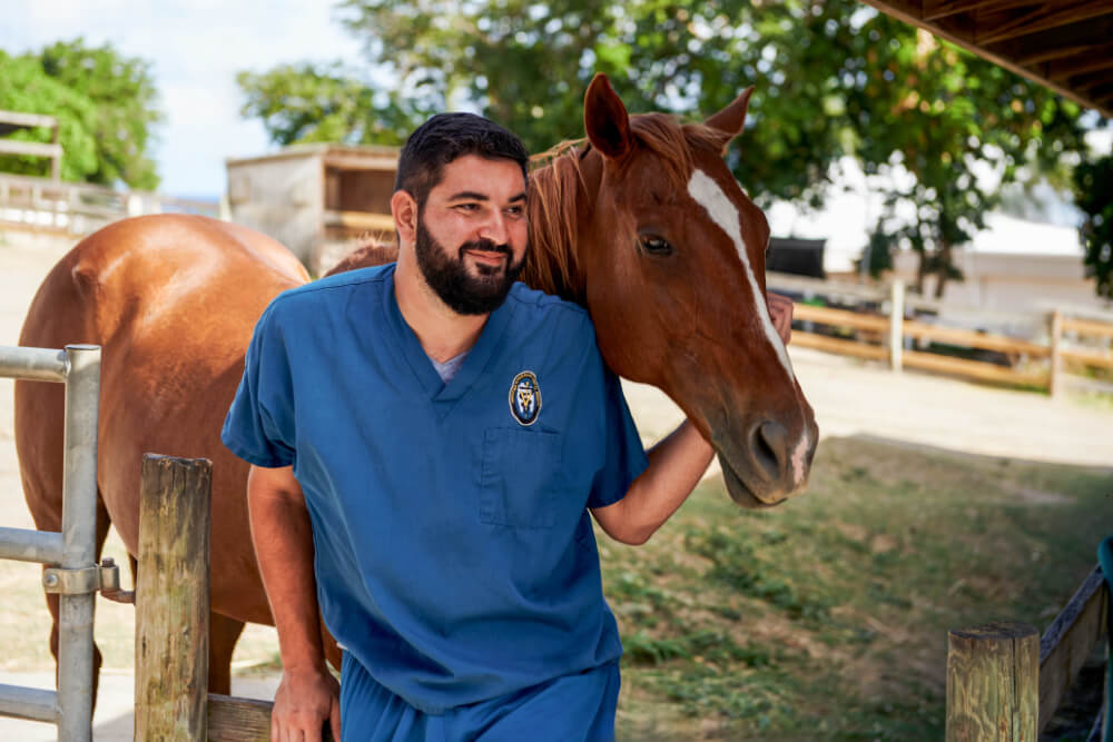 Why work at RUSVM?