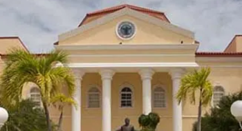 building with palm trees