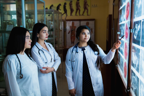 Veterinarian professor teaching students