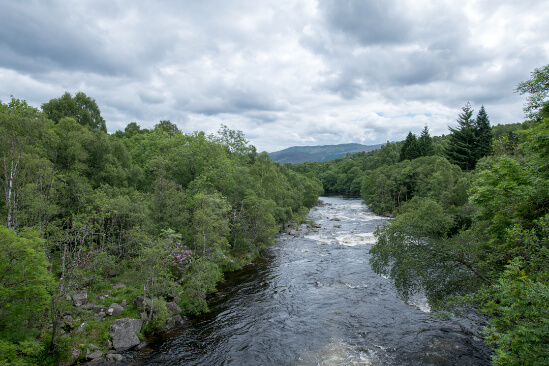 image of a river in the forest