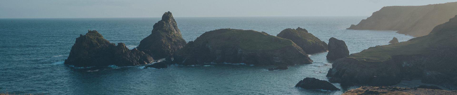 Lizard Point