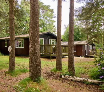 Image of Warmwell Holiday Park lodges