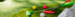 Mini golf course
