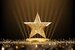 Gold star award trophy