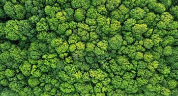 Sustainable Finance
