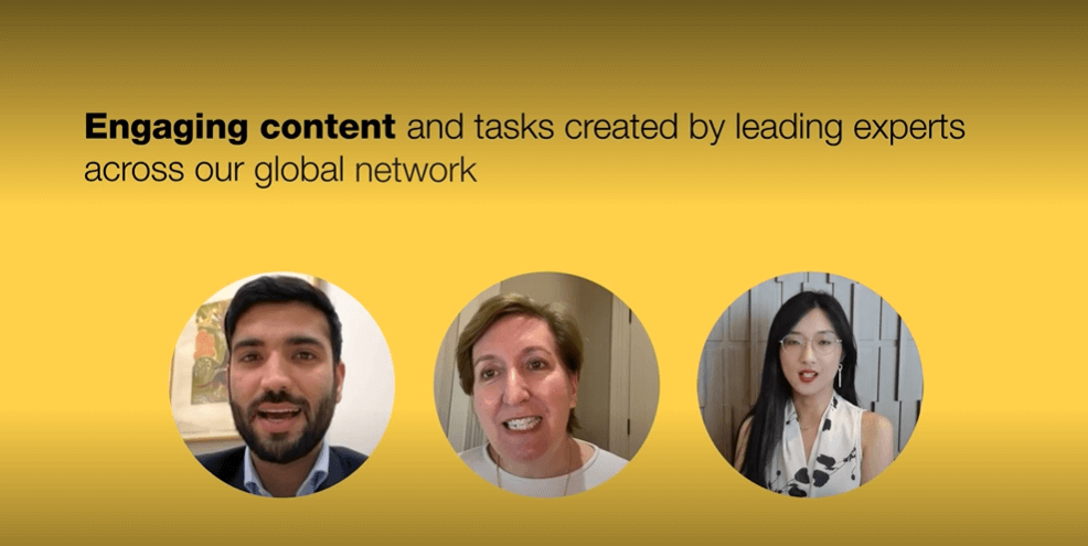 Global Virtual Internships