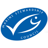 Sustainable Seafood Supermarket