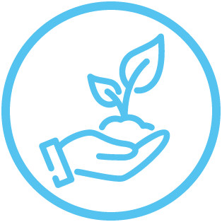 image displaying the process